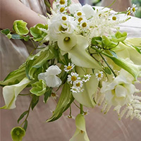 �����r��